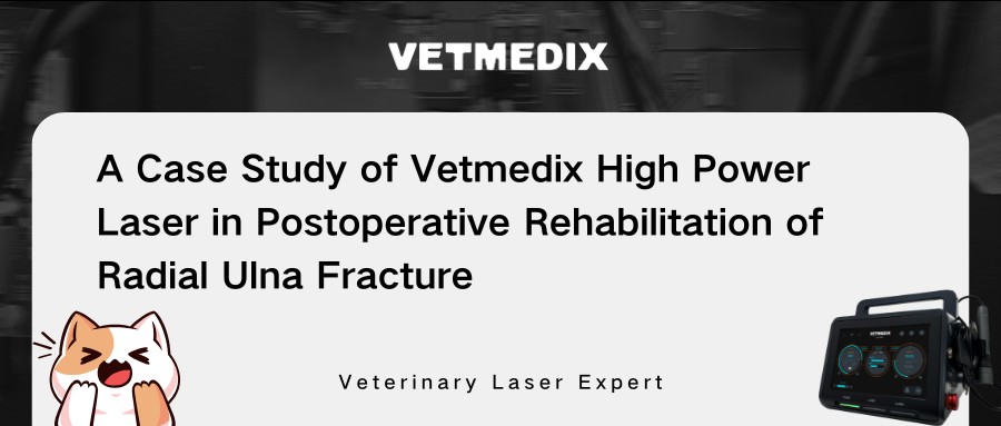 „Vetmedix“ atvejo dalijimasis 丨 Didelės galios lazerio terapija pooperacinėje radialinės ulnos lūžio reabilitacijoje